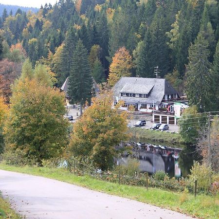 Klosterweiherhof Dachsberg im Schwarzwald Esterno foto