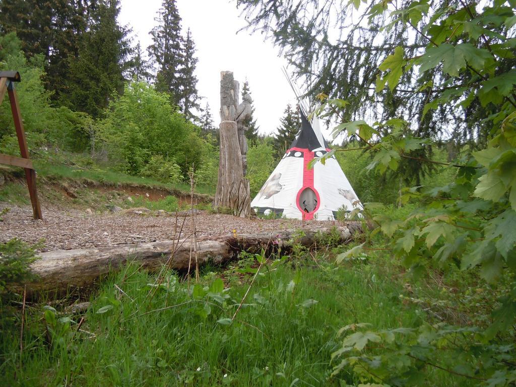 Klosterweiherhof Dachsberg im Schwarzwald Esterno foto